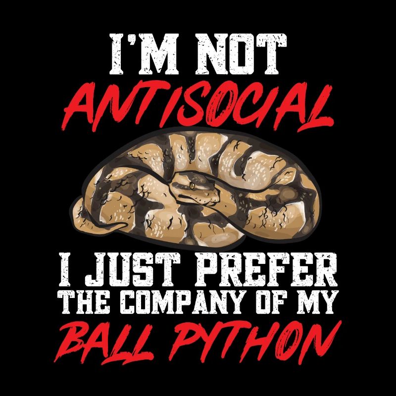 Ball Python Schlange Königspython