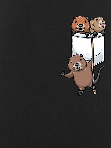 Muskrat