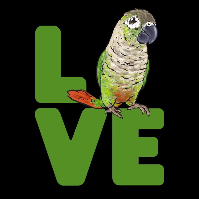 Molinasittich Papagei Vogel Sittich