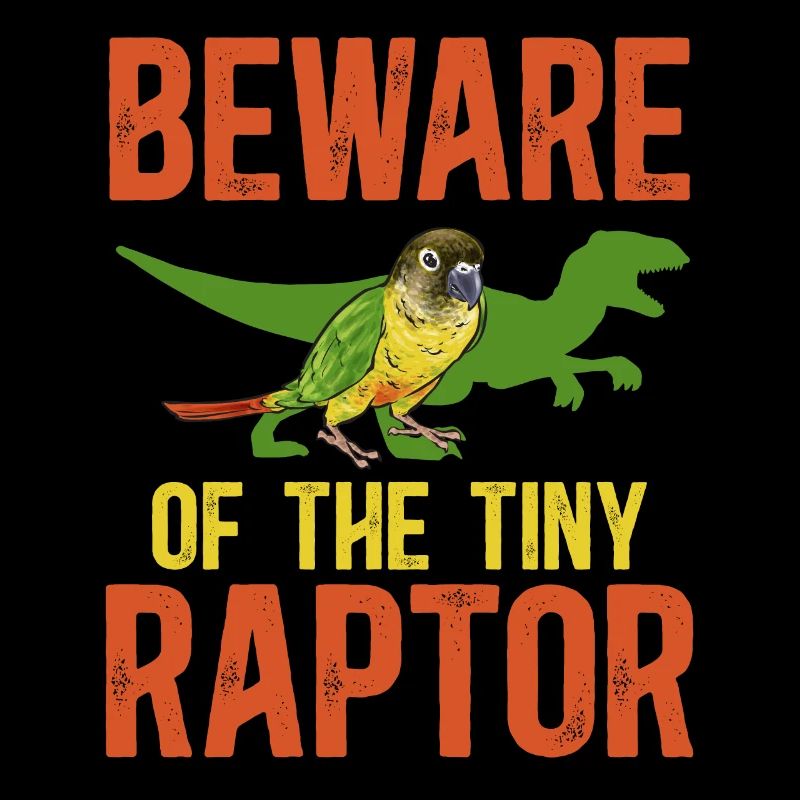 Molinasittich Papagei Vogel Sittich