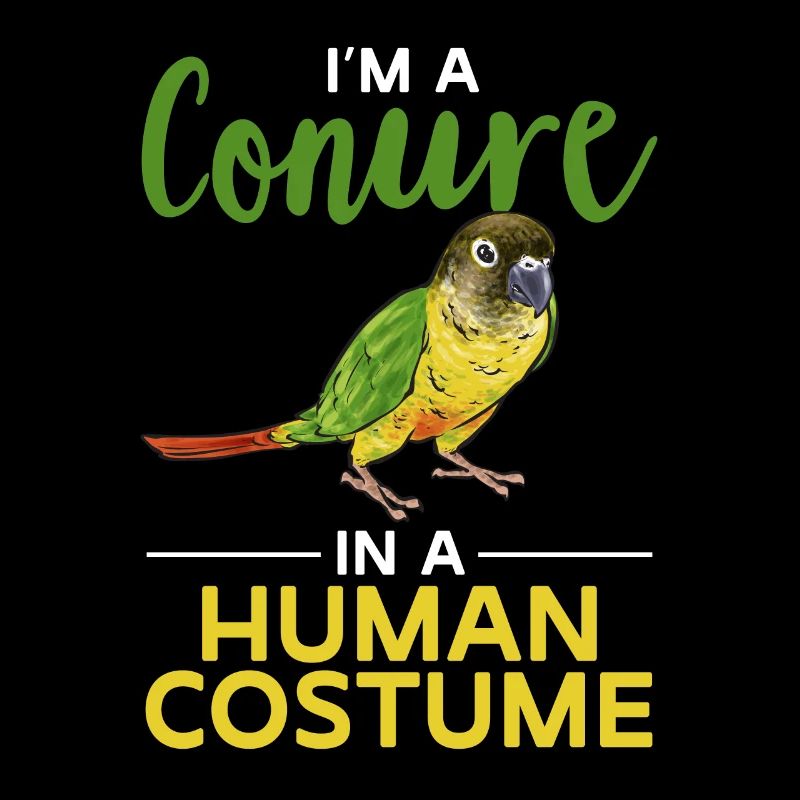 Molina Parakeet Parrot Bird Parakeet