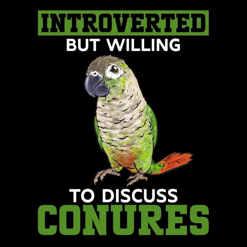 Molina Parakeet Parrot Bird Parakeet