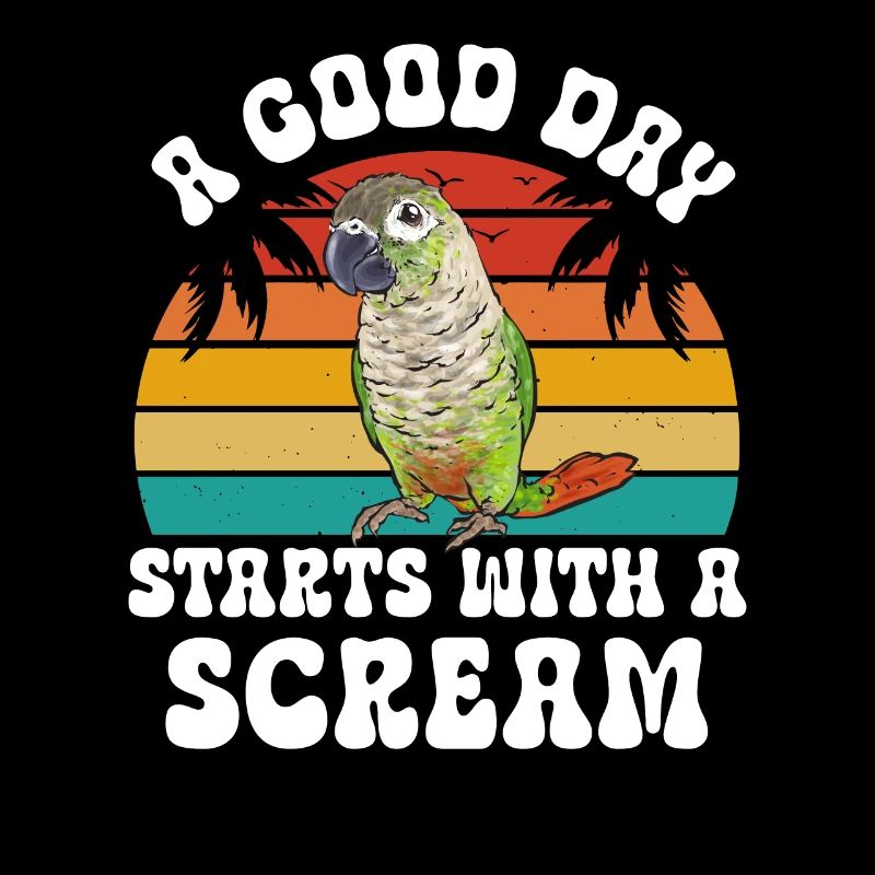 Molina Parakeet Parrot Bird Parakeet