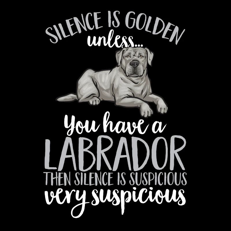 Silver Labrador Retriever Silver Lab