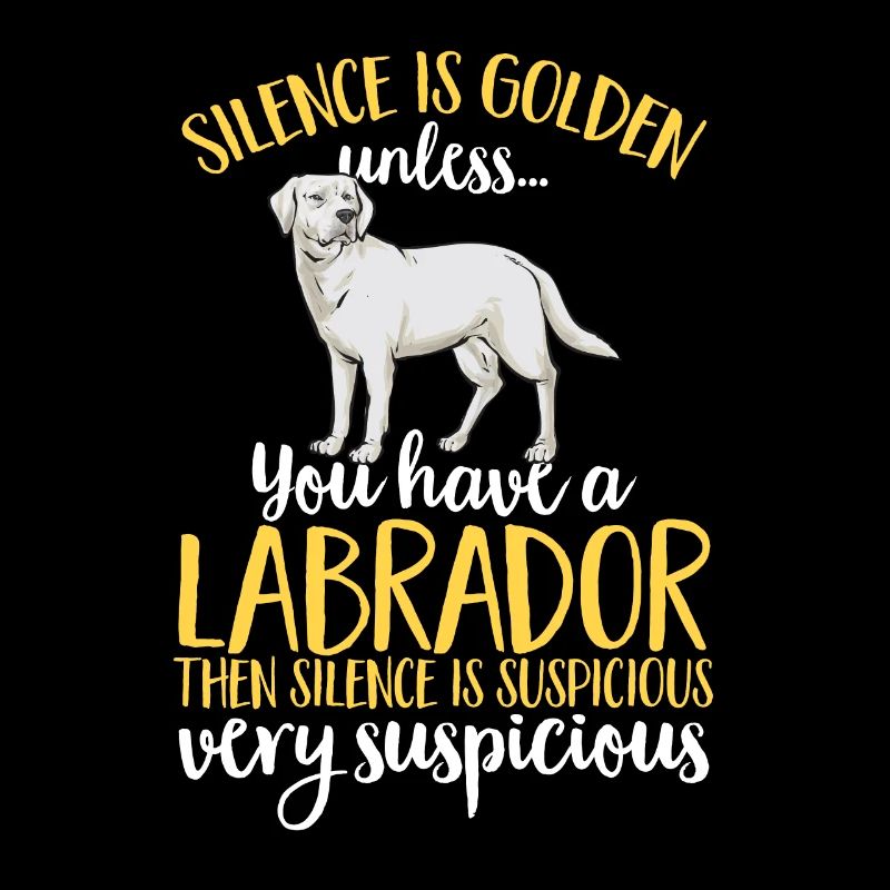 Labrador Retriever blanc Labrador Labrador blanc