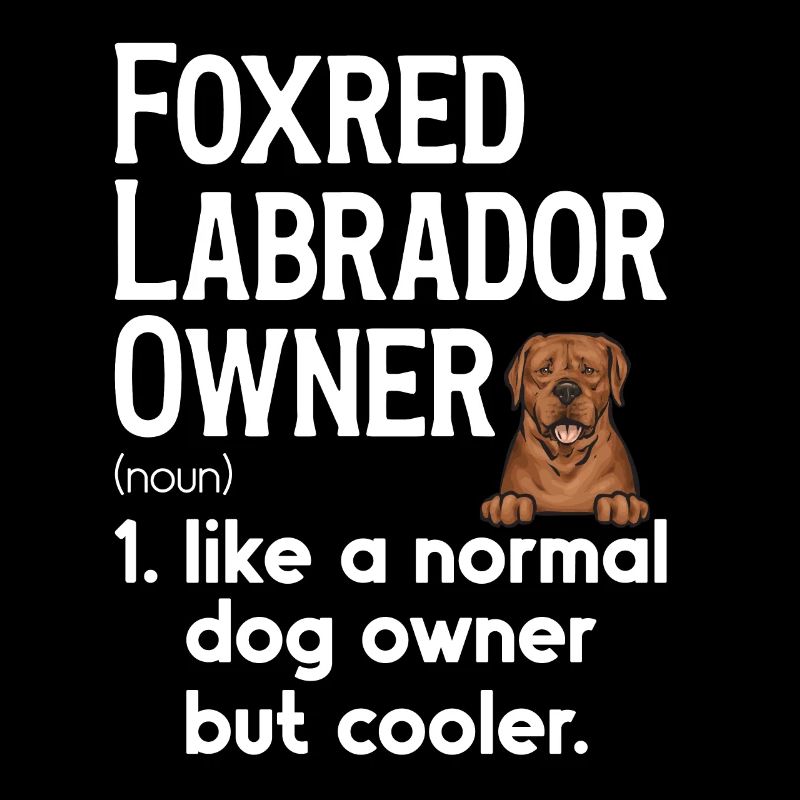 Fuchsroter Labrador Retriever Fox Red Labrador