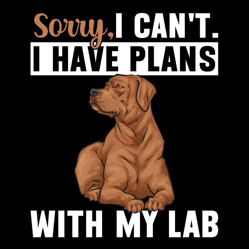 Fuchsroter Labrador Retriever Fox Red Labrador