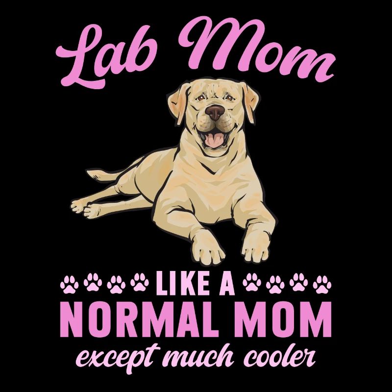 Yellow Labrador Retriever