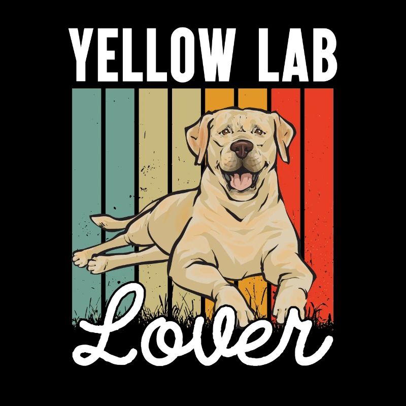 Yellow Labrador Retriever