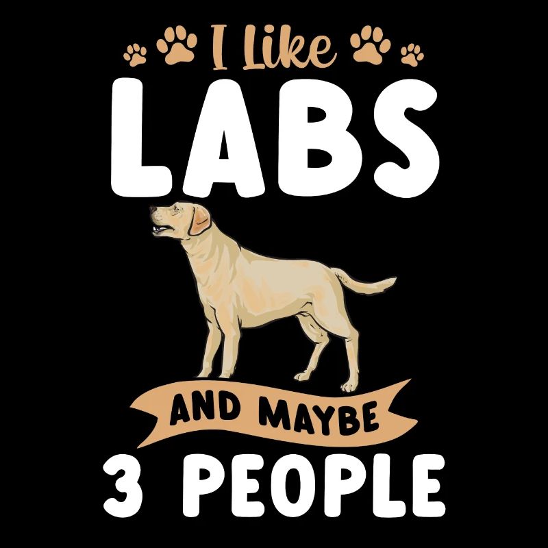 Yellow Labrador Retriever
