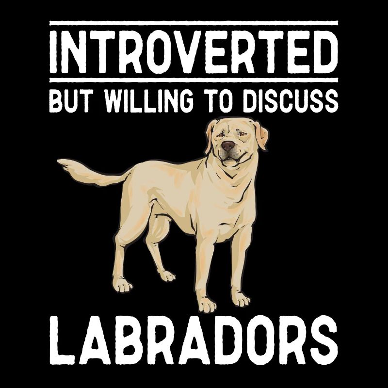 Labrador Retriever jaune