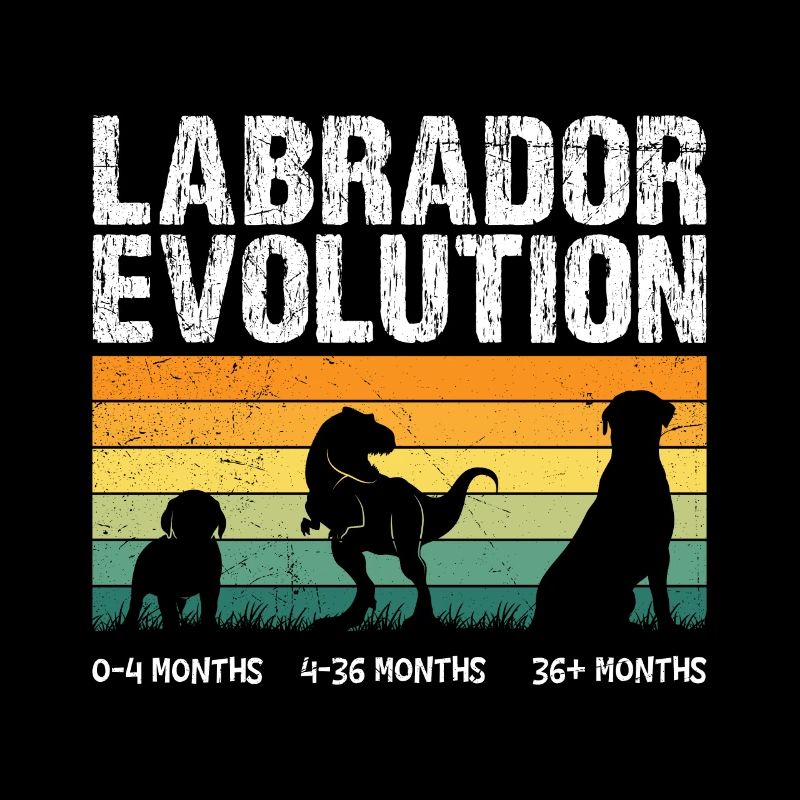 Labrador EVOLUTION Labrador Liebhaber Lustiges