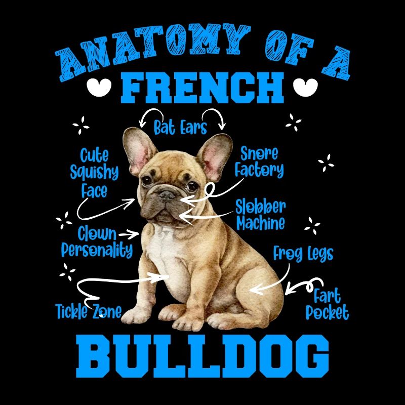 Frenchie Fan Merchandise Anatomie d’un bouledogue français