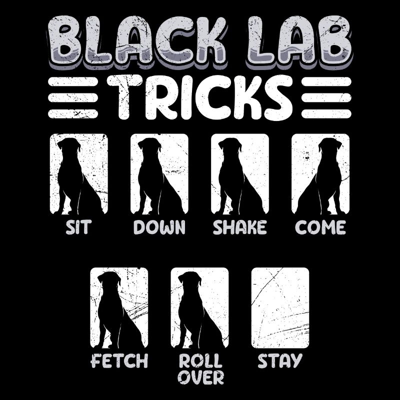 Labrador Lustig BLACK LAB TRICKS Sturer Labrador