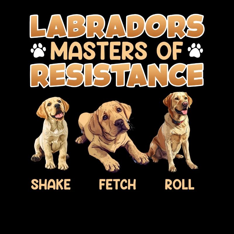 Labradors MAÎTRE DE LA RÉSISTANCE Fun
