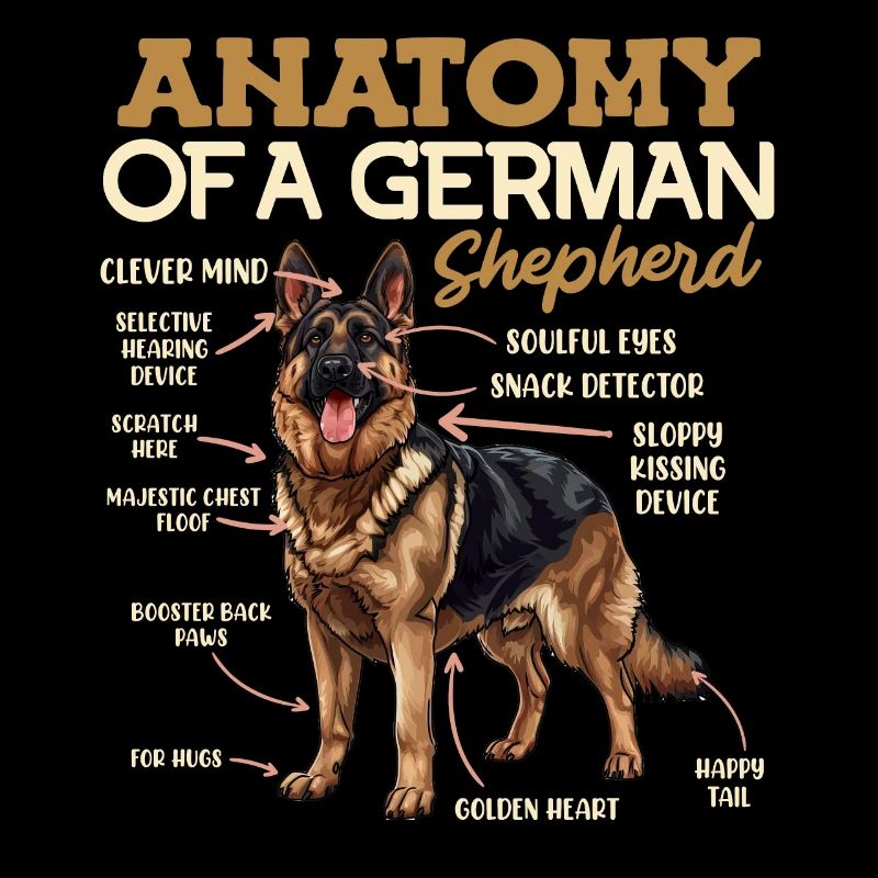 Anatomie des Deutschen Schäferhundes Lustiges