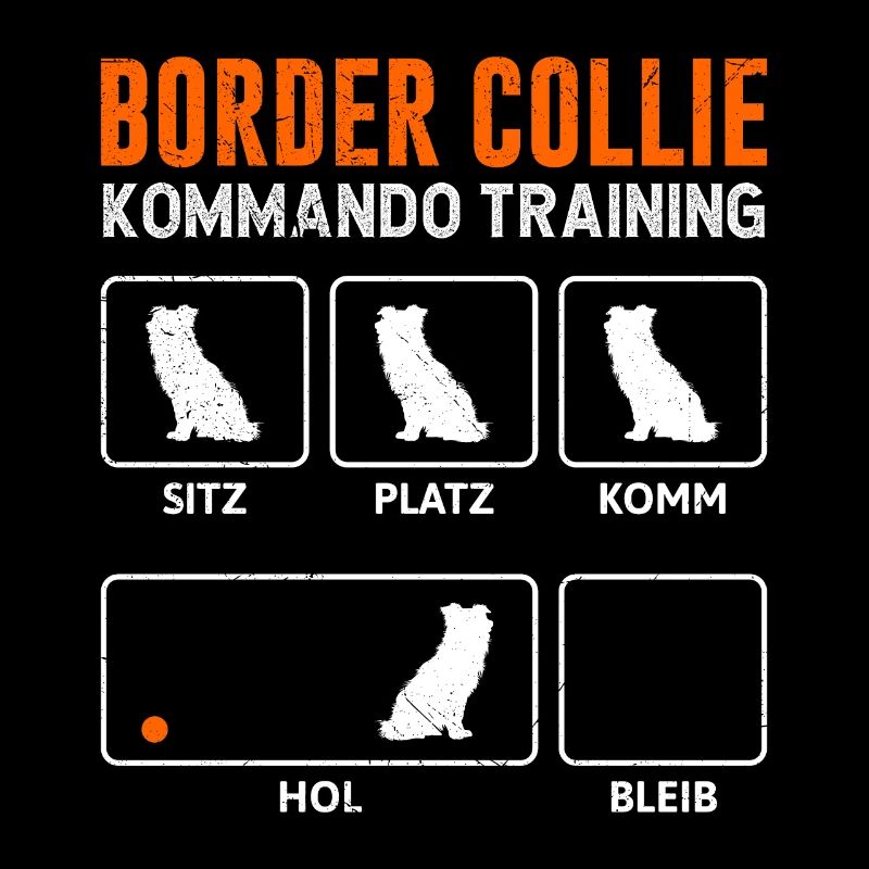 ENTRAÎNEMENT COMMANDO BORDER COLLIE Drôle