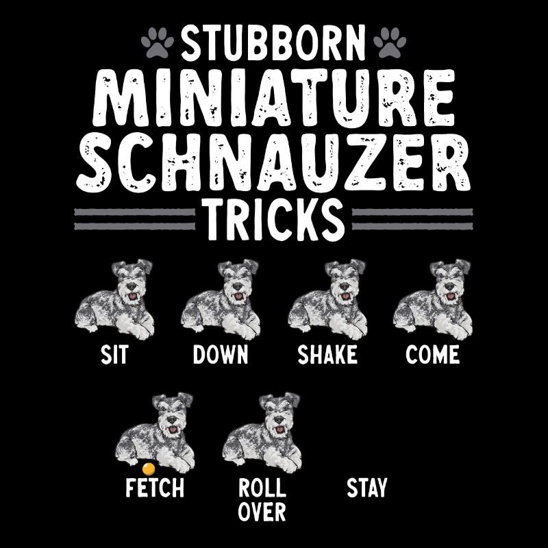 Zwergschnauzer Hund Schnauzer