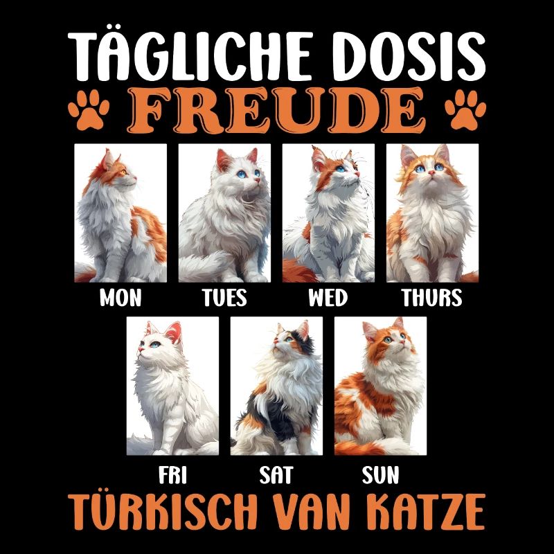 Maman chat DOSE QUOTIDIENNE DE JOY TURKISH VAN