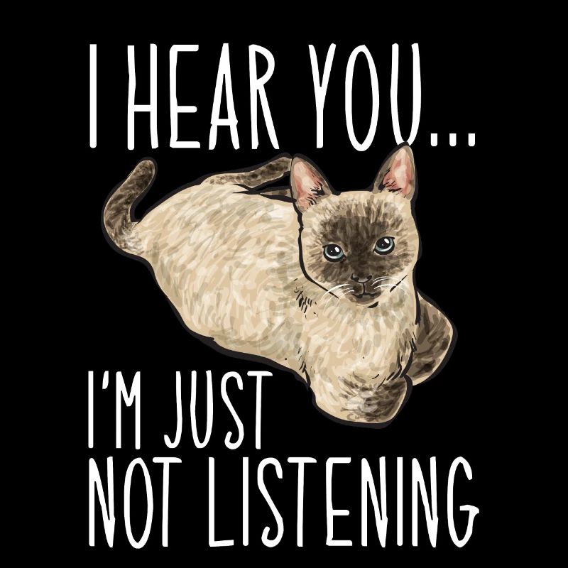 Siamese Cat Siamese Cat