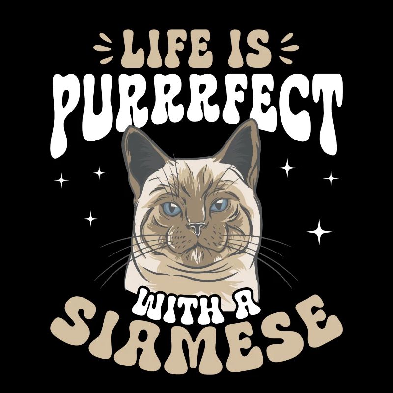 Siamese Cat Siamese Cat