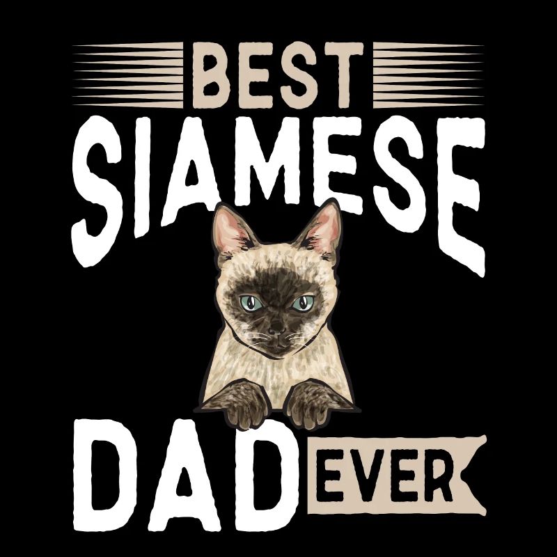 Siamese Cat Siamese Cat
