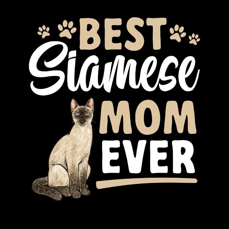Siamese Cat Siamese Cat