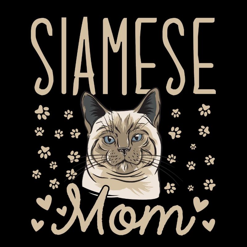 Siamese Cat Siamese Cat
