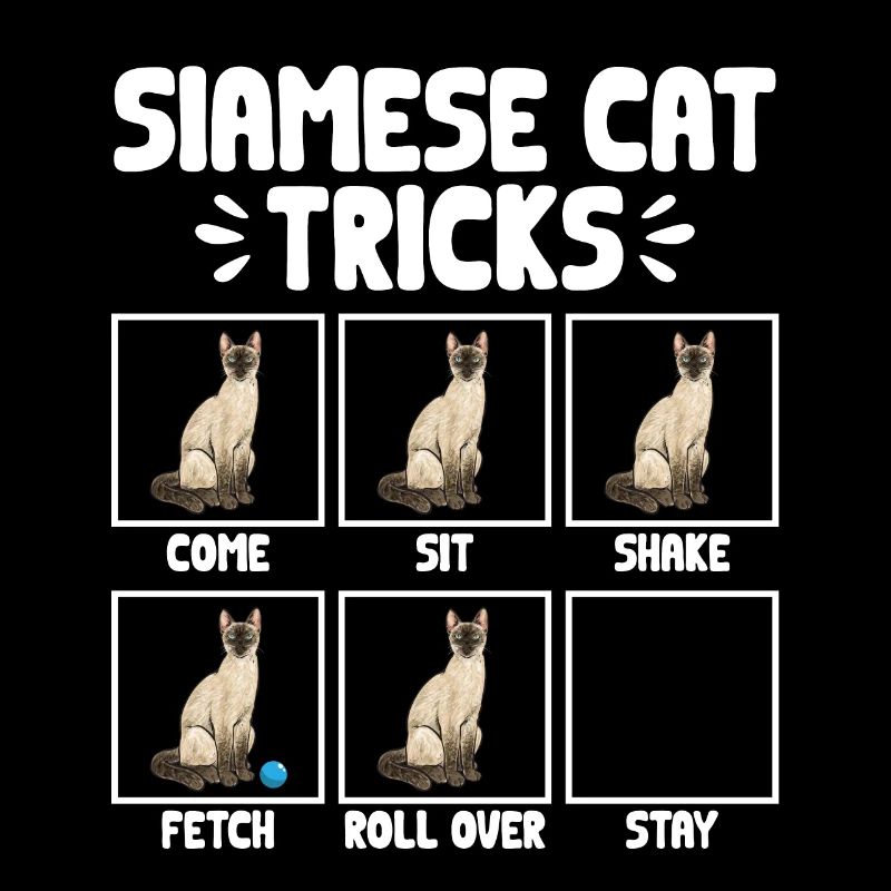 Siamese Cat Siamese Cat
