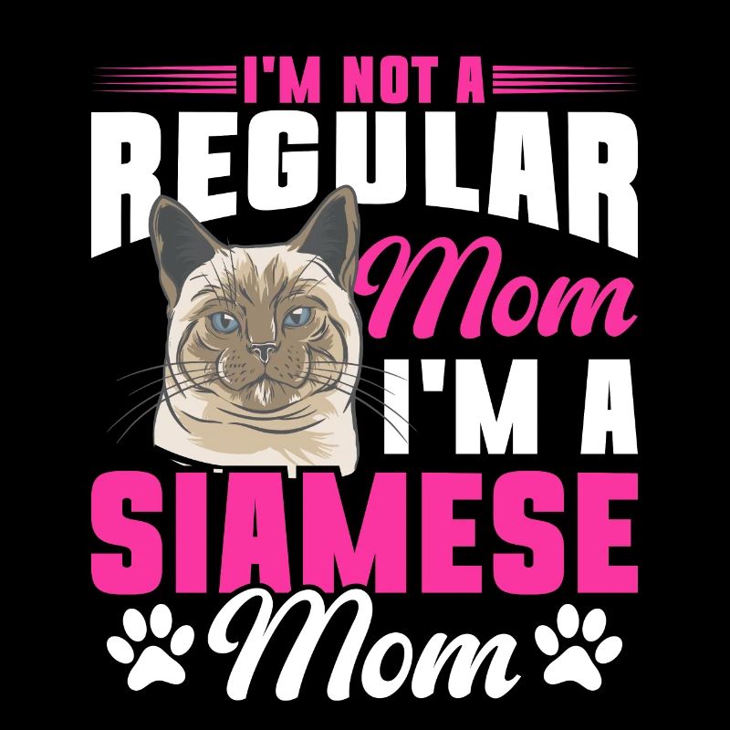 Siamese Cat Siamese Cat