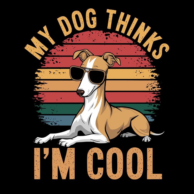 Whippet Mon chien pense que je suis cool