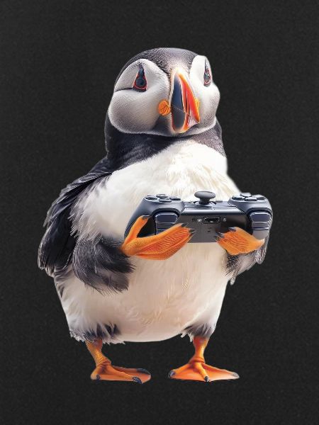 Puffin