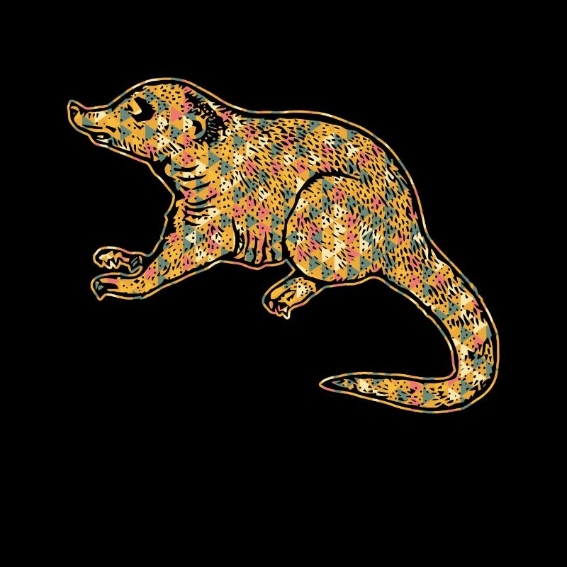 Coati Geometric