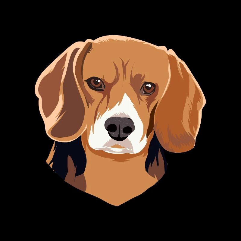 Chien beagle chien chien