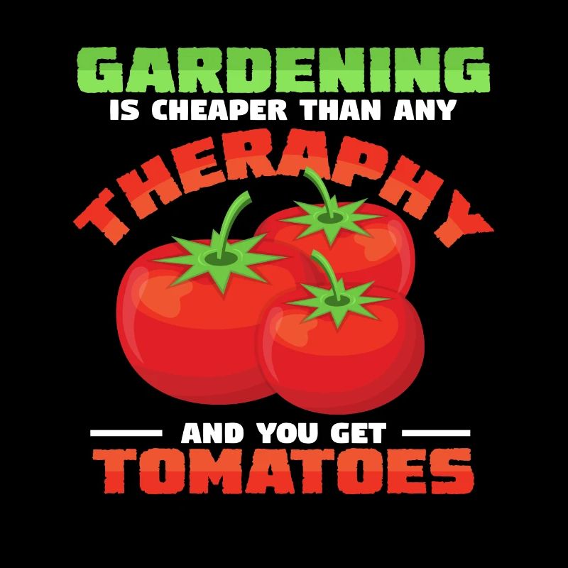 tomates