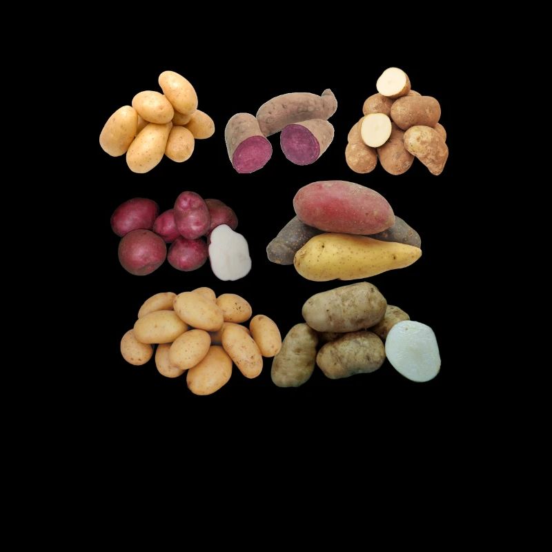Toutes sortes de pommes de terre