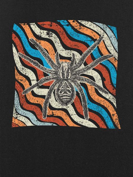 spider
