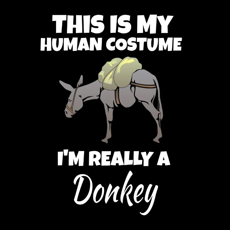 Donkey