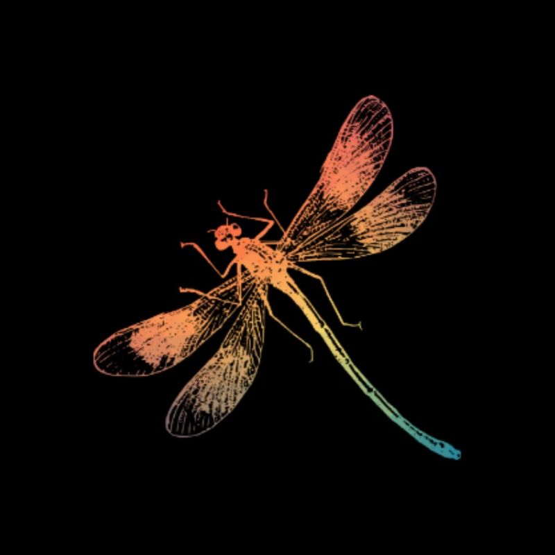 Bunte Regenbogen Libelle