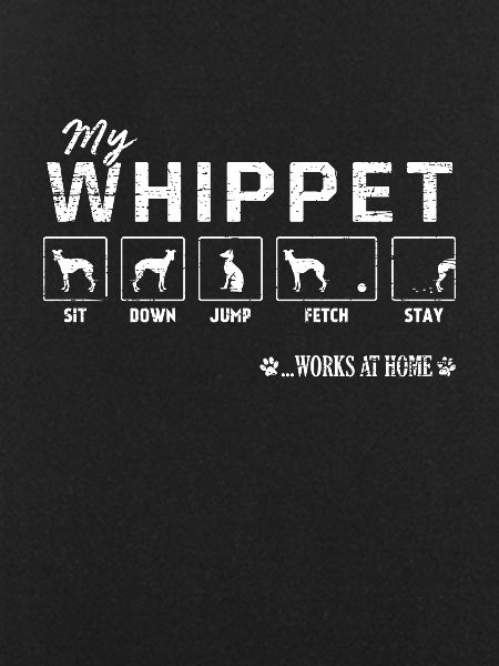 Mon whippet