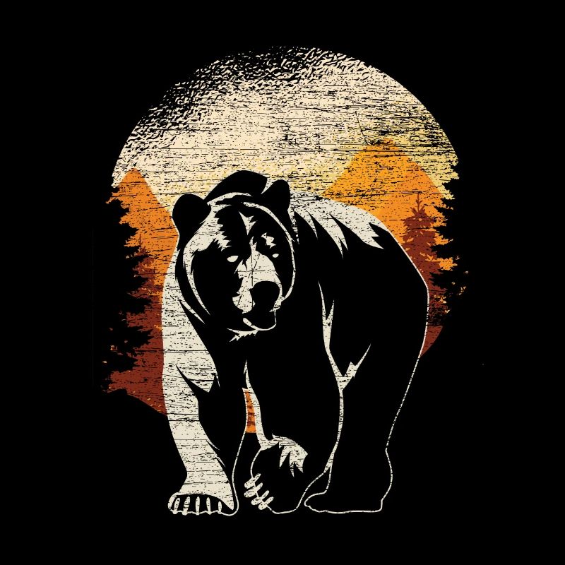 Bear brown bear forest