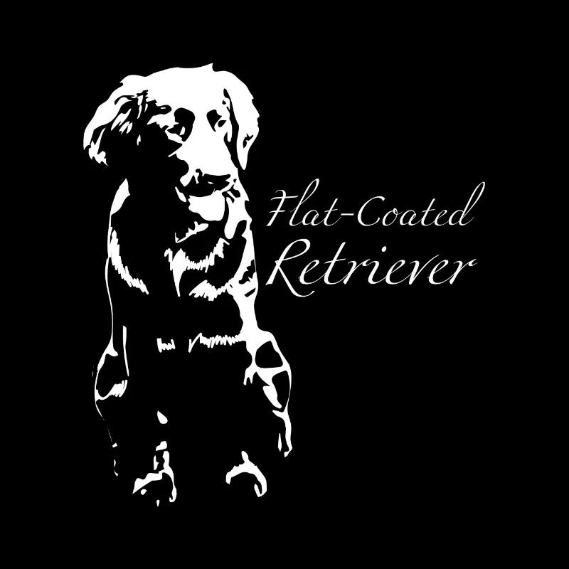 Flat Coated Retrievers