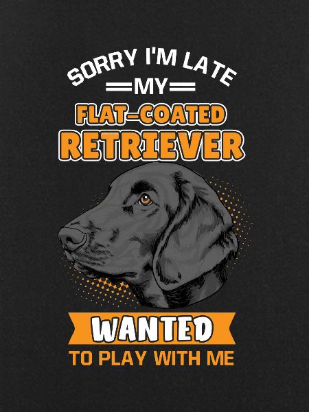 Flat Coated Retrievers