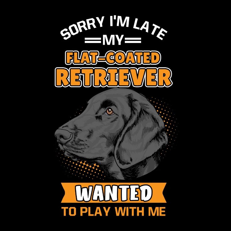 Flat Coated Retriever
