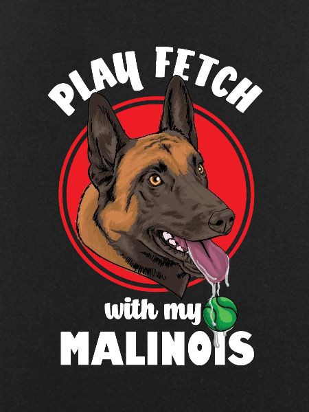 Belgian Malinois