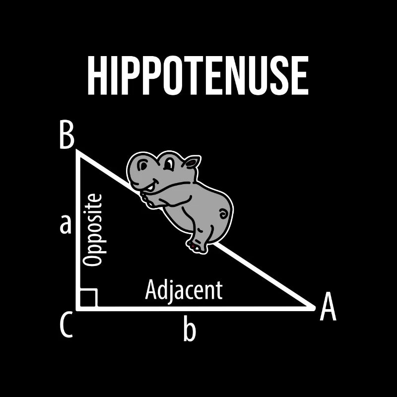 Hippopotamus math