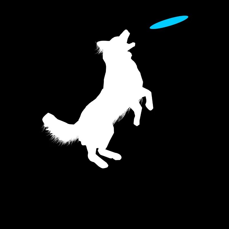 Dog collie training
