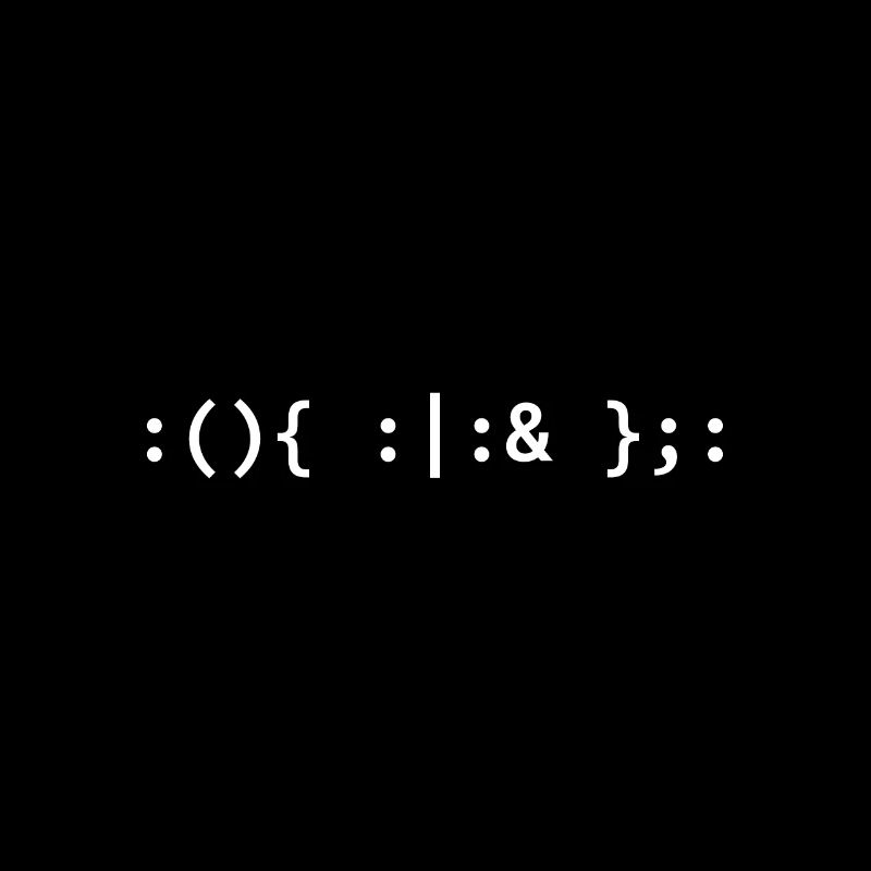 Bash Fork Bomb - Text for Unix/Linux Hackers