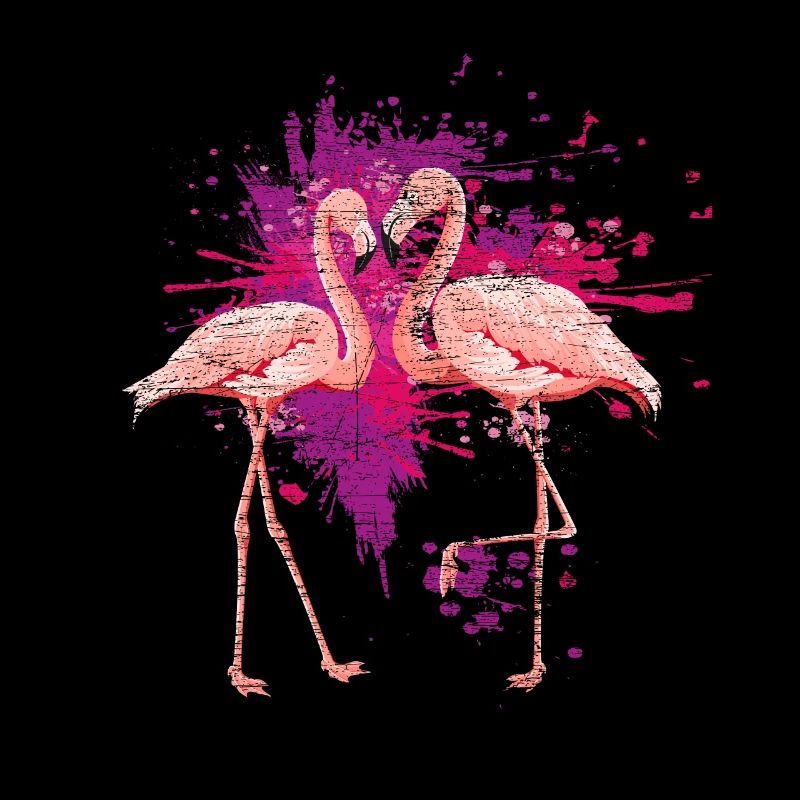 Flamingo animals
