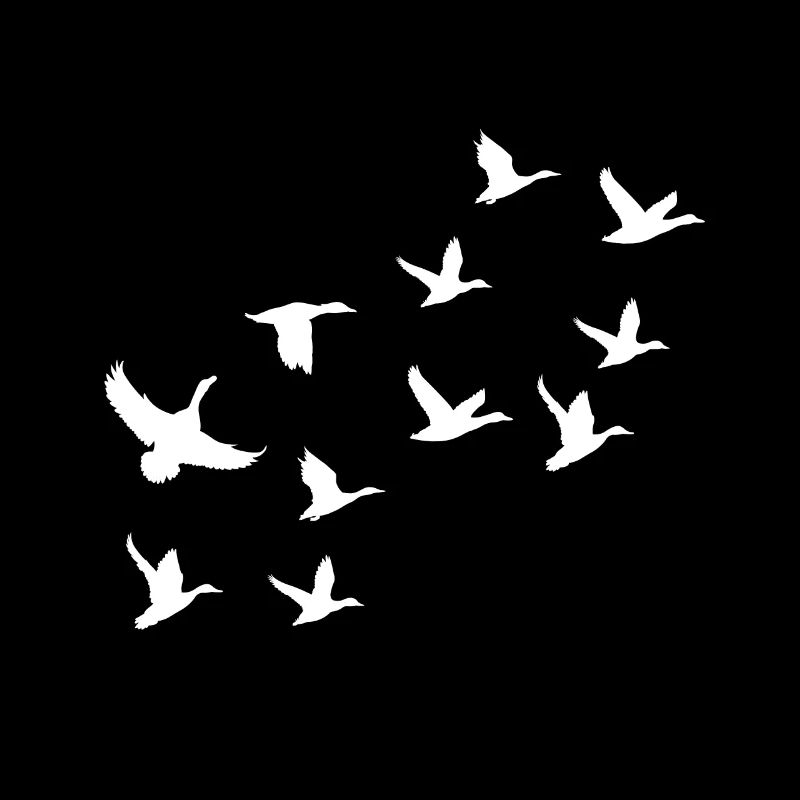 Essaim d'oies volant